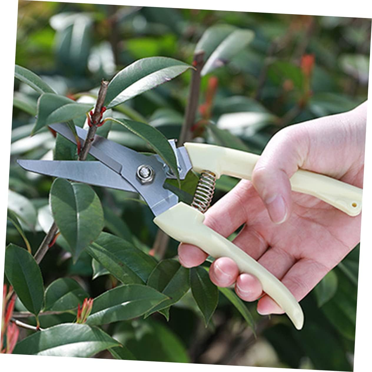 SUPVOX Garden Pruner Shears Stainless Steel One-Handed Pruning Shears Comfortable Grip for Gardening image number 2