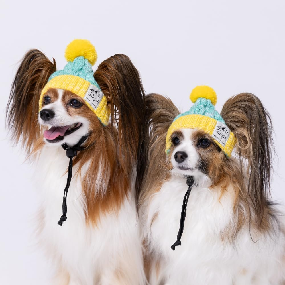 Three Arrows PIPI Dog Knit Hat Green X Yellow, S image number 5