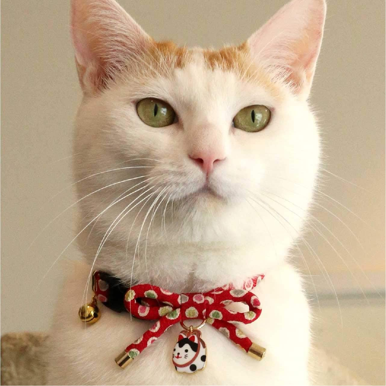 Necoichi Zen Hariko Charm Cat Collar - Red image number 5