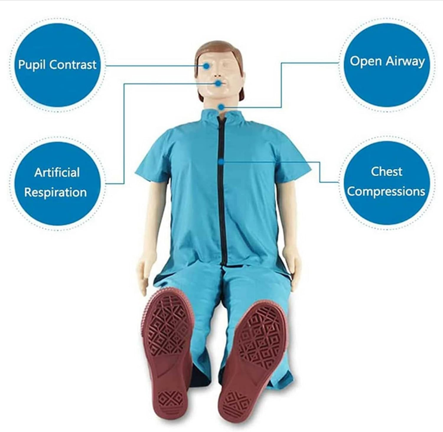 CPR Training Manikin Full Body, CPR First Aid Training Manikin First Aid Training Model Supplies Instructor Basic Starter Kit for Doctor Nursing Training Medical Teaching image number 2