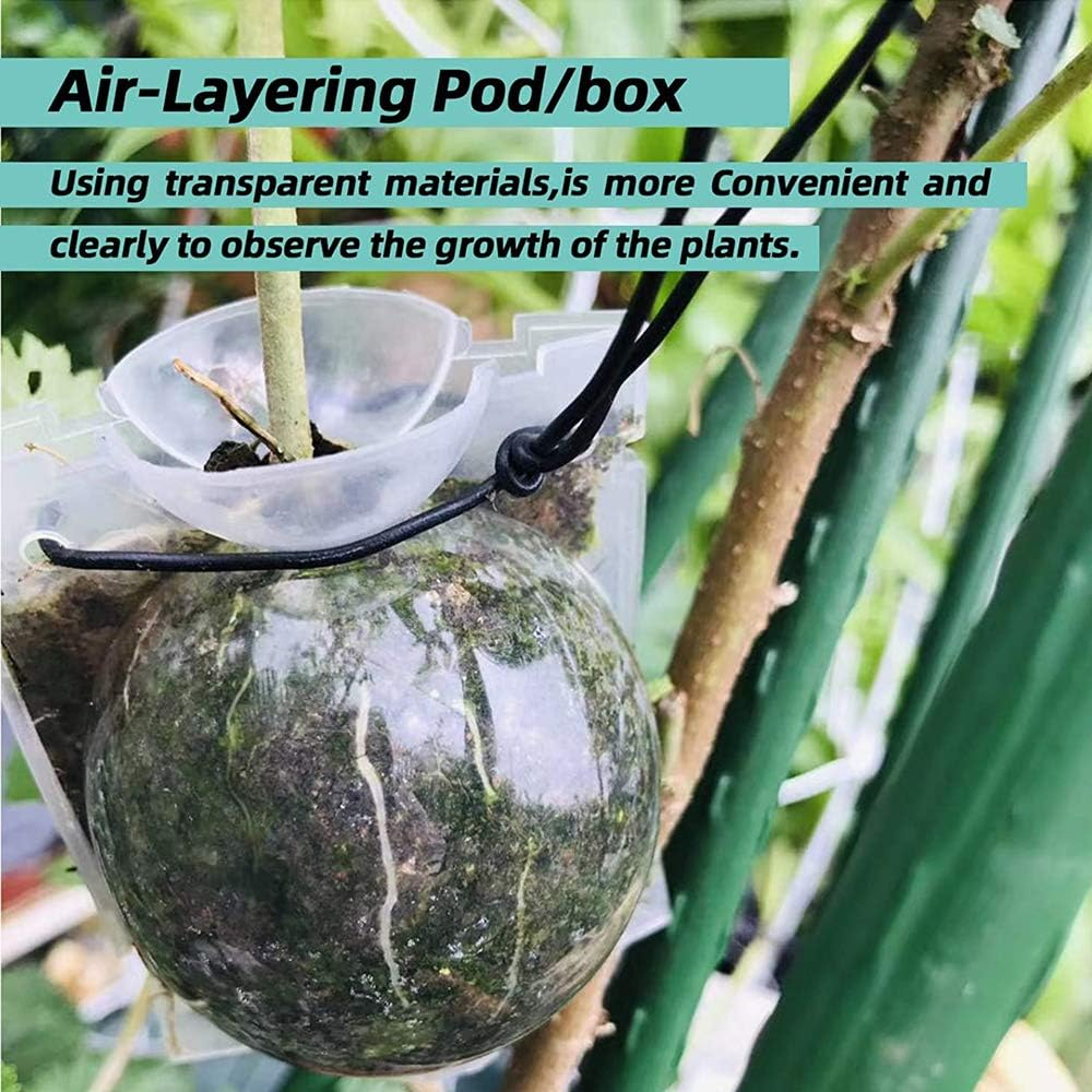 Plant Root Growing Box, Reusable Plant Rooting Device Plant Rooting Grow Box High Pressure Propagation Ball Grafting Device Botany Root Controller (Medium（3.1&Prime;&times;6Pcs）, Transparent) image number 6