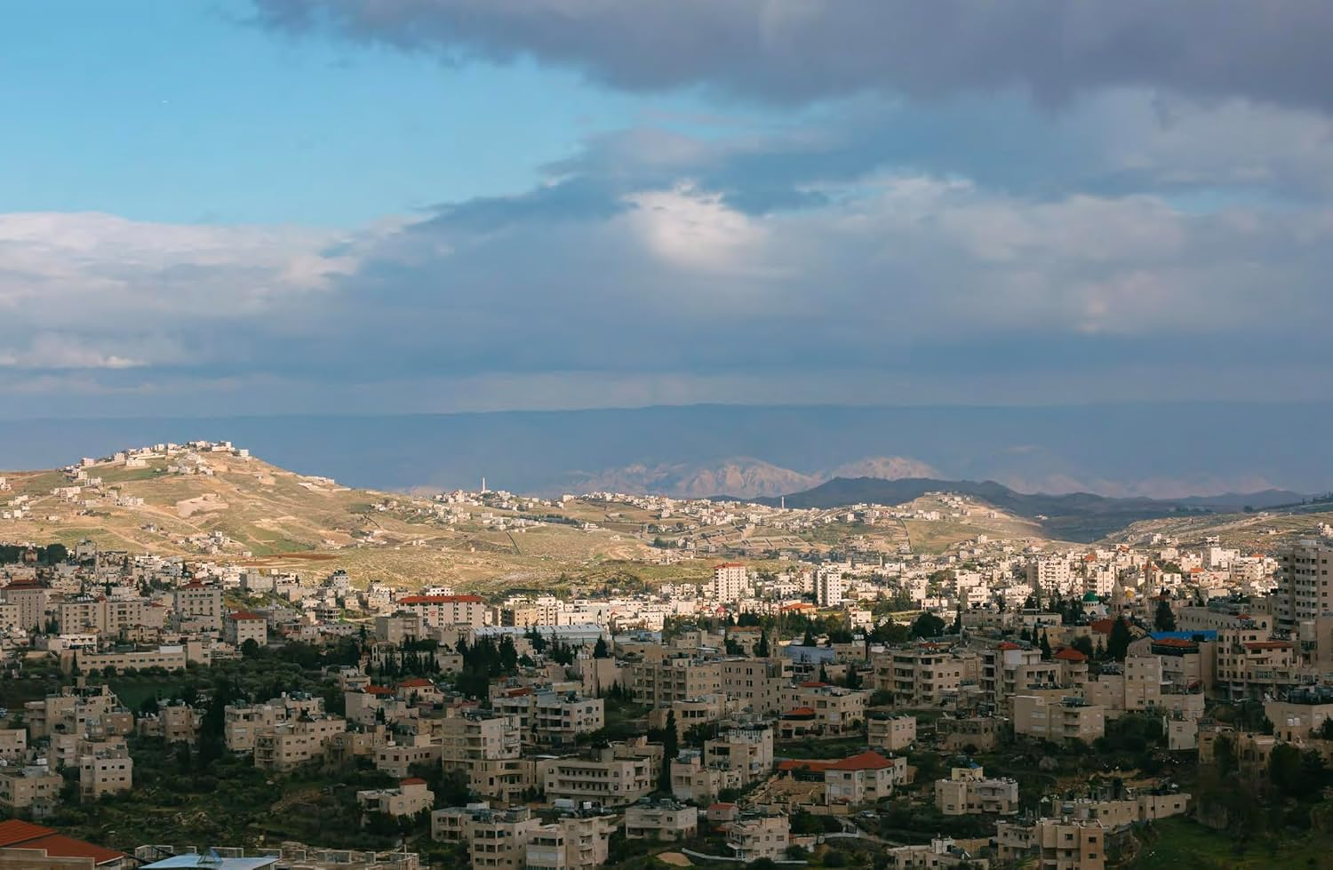 Bethlehem: a Celebration of Palestinian Food image number 5