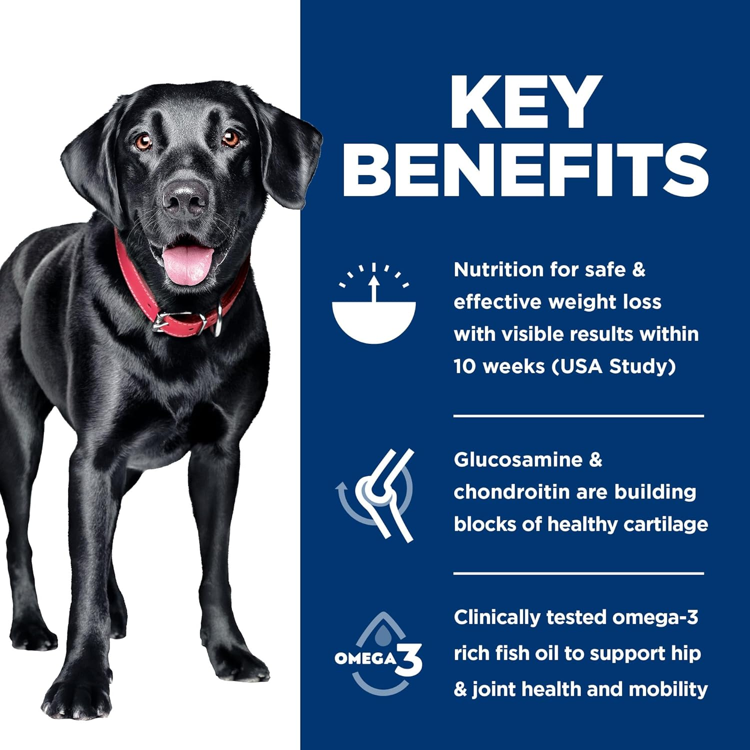 Hill&rsquo;S Science Diet Adult Perfect Weight + Joint Support Large Breed Dry Dog Food 11.3Kg image number 4