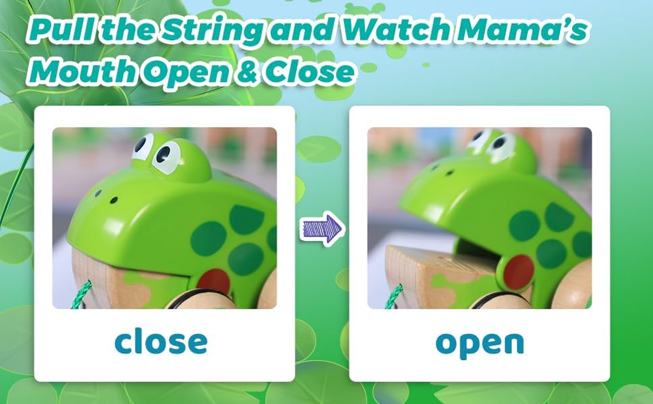 Hape Pull-Along Frog Family Toy &ndash; Wooden Toddler Pull Toy for Kids 12M+ | Fun & Educational Frog Life Cycle Learning | Interactive Walking Action | Safe & Durable Play Toy image number 6