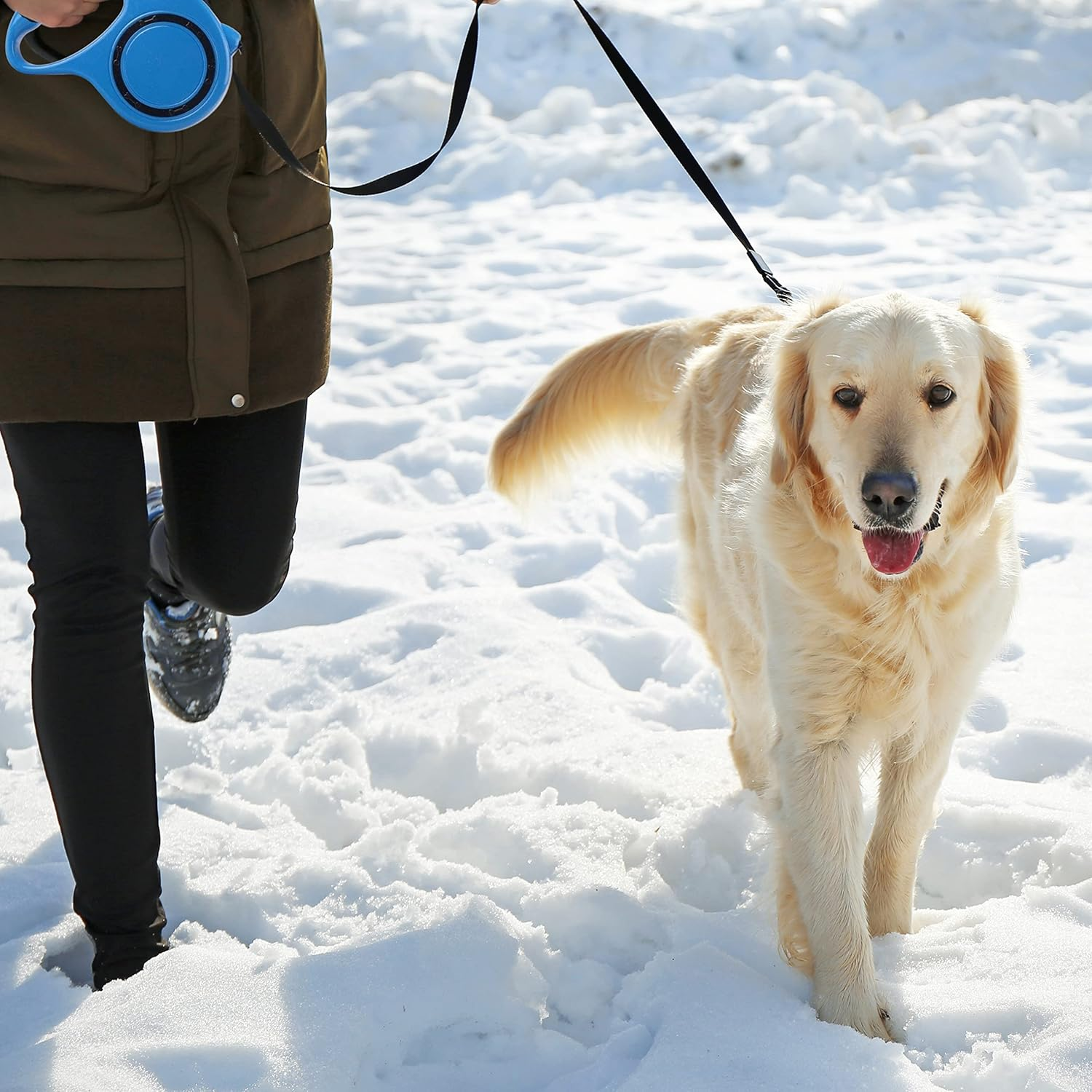 Retoo Retractable Dog Lead 3 M for Small and Large Dogs, Flexible Band for Right Walks, Dog Leash, Comfortable Handle, Belt Lead, Robust Extendable Lead for Walking, Roll Lead, High-Quality Lead image number 4