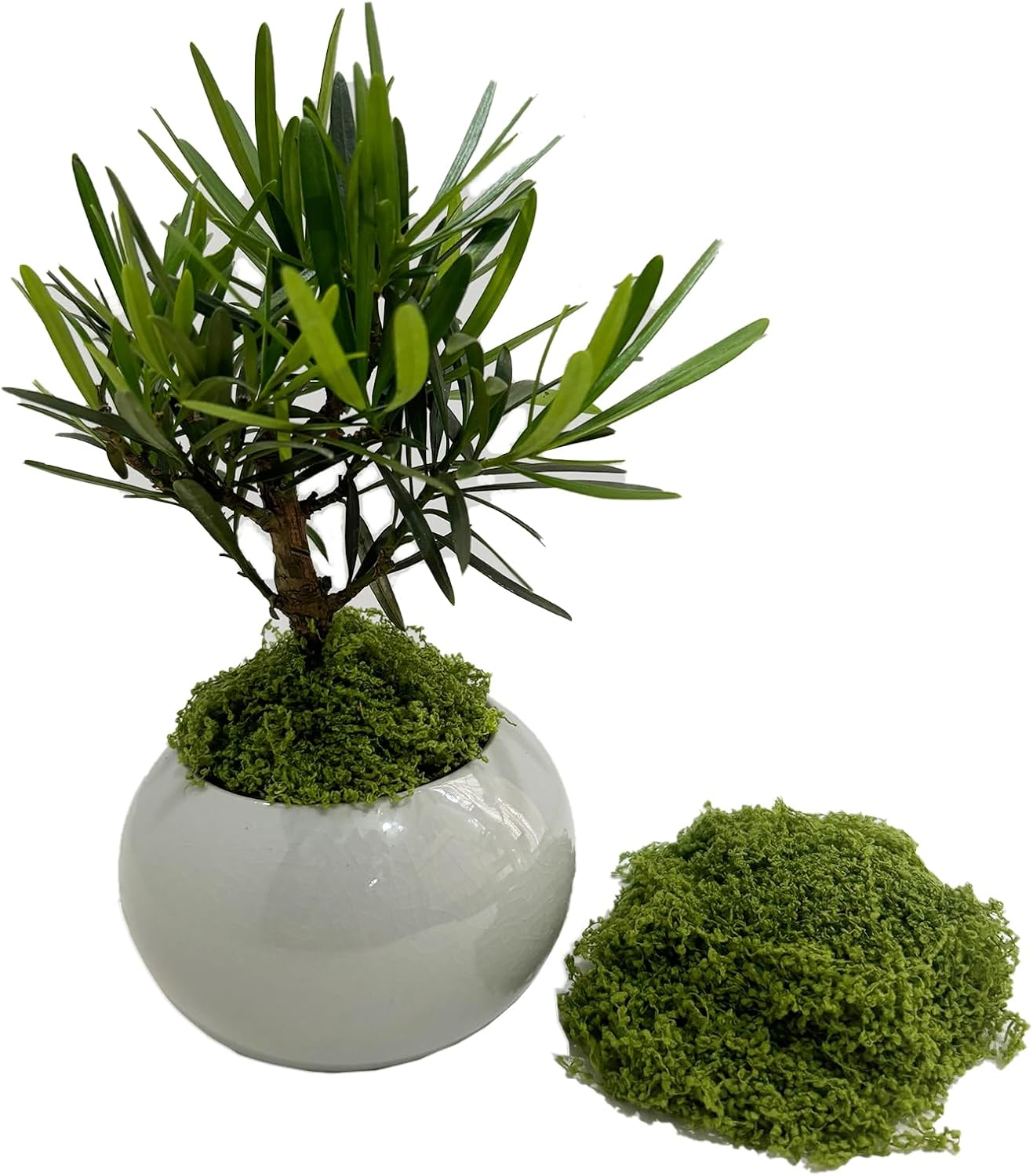 500G Artificial Moss Soft Breathable Fake Moss for Indoor Plants Natural Green Eco-Friendly Faux Moss for Planters Musgo Artificial Para Macetas Decorative Garden Landscaping Supplies image number 3