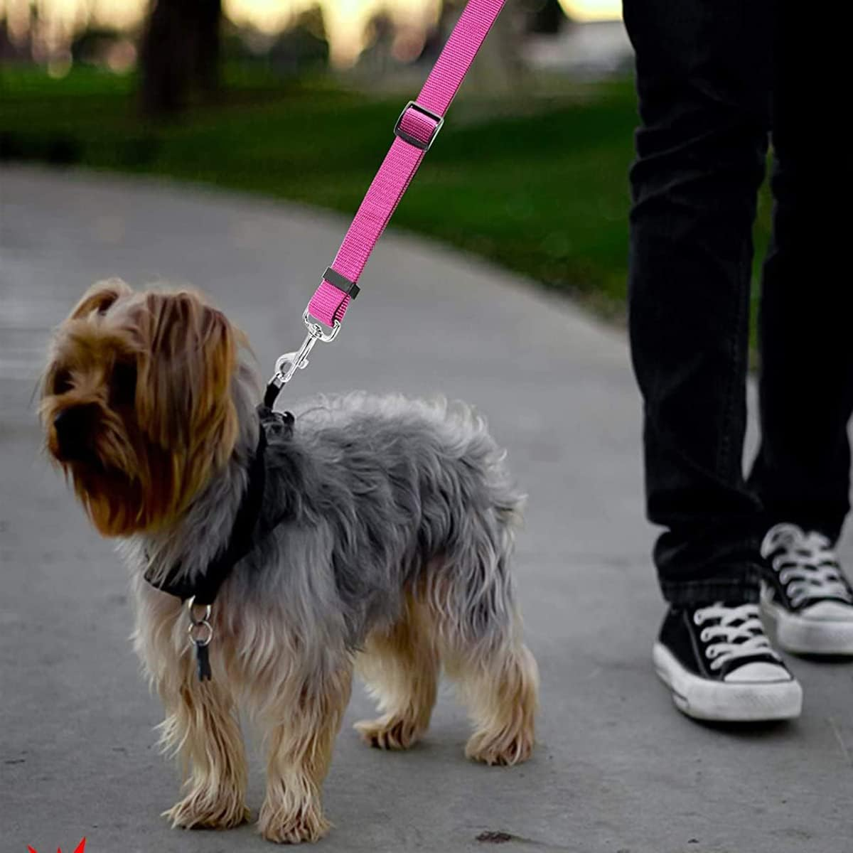 Seat Belt for Dogs - Car Harness for Dogs - with Clip Hook Latch & Buckle,Adjustible, Elastic,Durable,Car Travel Accessories for Dogs, for Pet Dog Cat