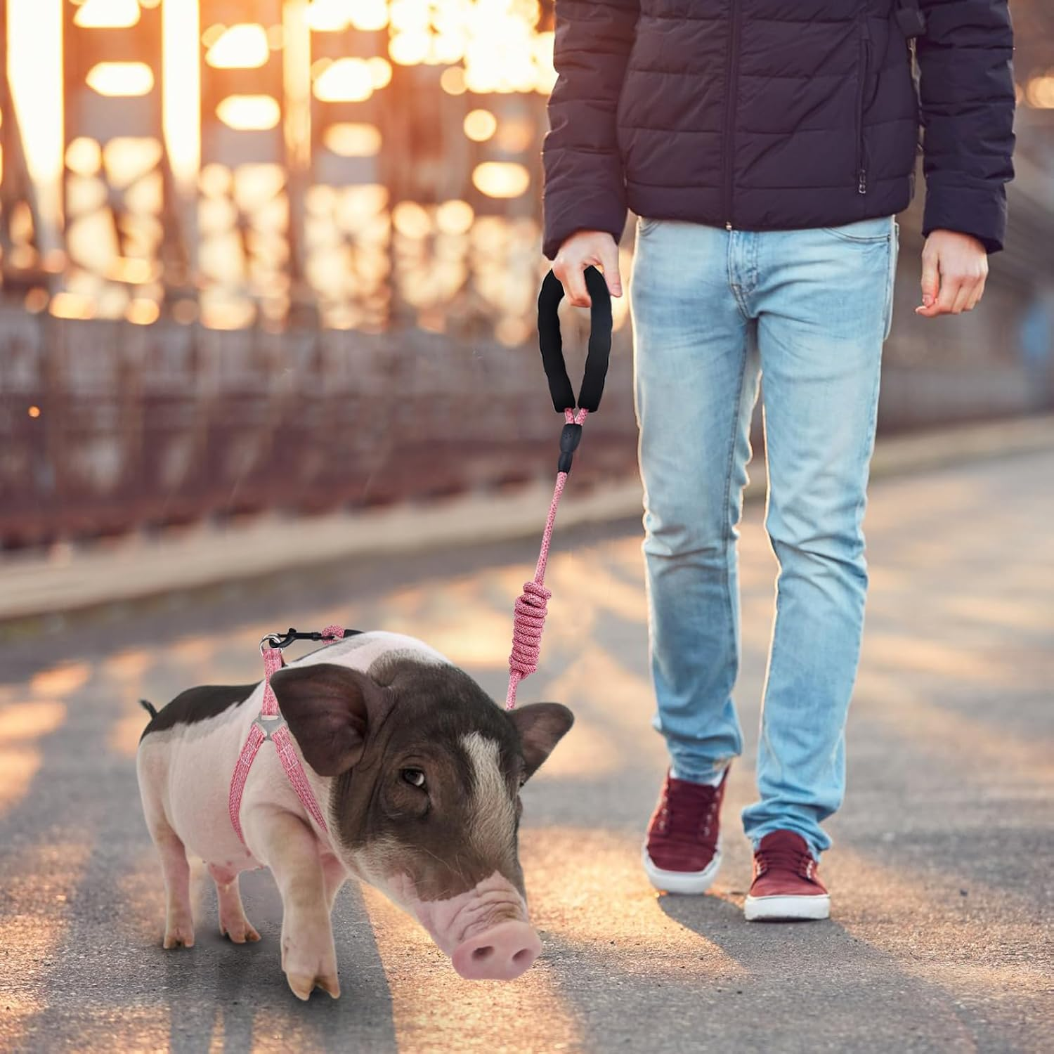 Mini Pig Harness, Adjustable Small Pig Harness with Leash Infinity Style Lead and Soft Foam Handle for Small to Medium Pet Pigs Walking Training Jogging（Pink） image number 5