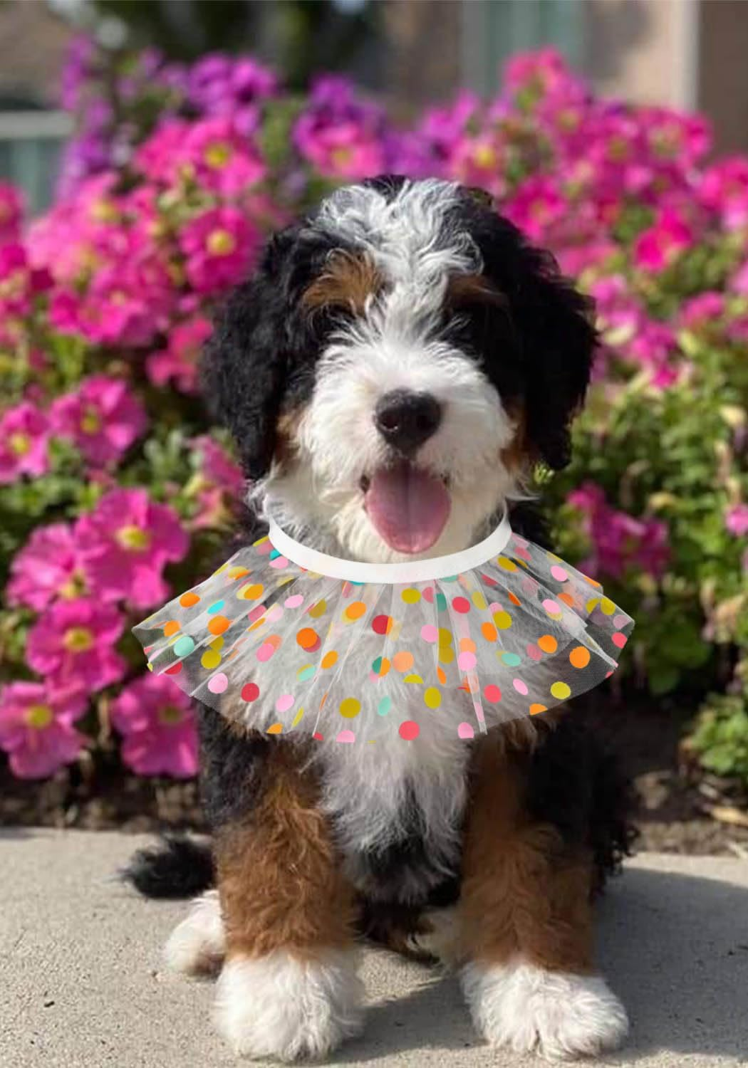 Jovono Cute Dog Cat Bandana Princess Costume Lace Colorful Triangle Bibs Accessories for Small Medium Cats image number 4