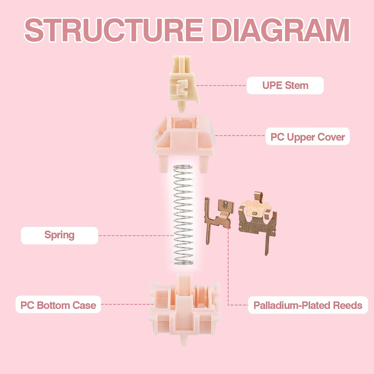 EPOMAKER Nude Rosa 39Gf Silent Gaming Keyboard Switches, 5-Pin Pre-Lubed Linear Switch, 35 PCS, 21Mm Spring, with PC Case, UPE Stem, Compatible with MX Keycaps for Mechanical Keyboard (Nude Rosa) image number 3