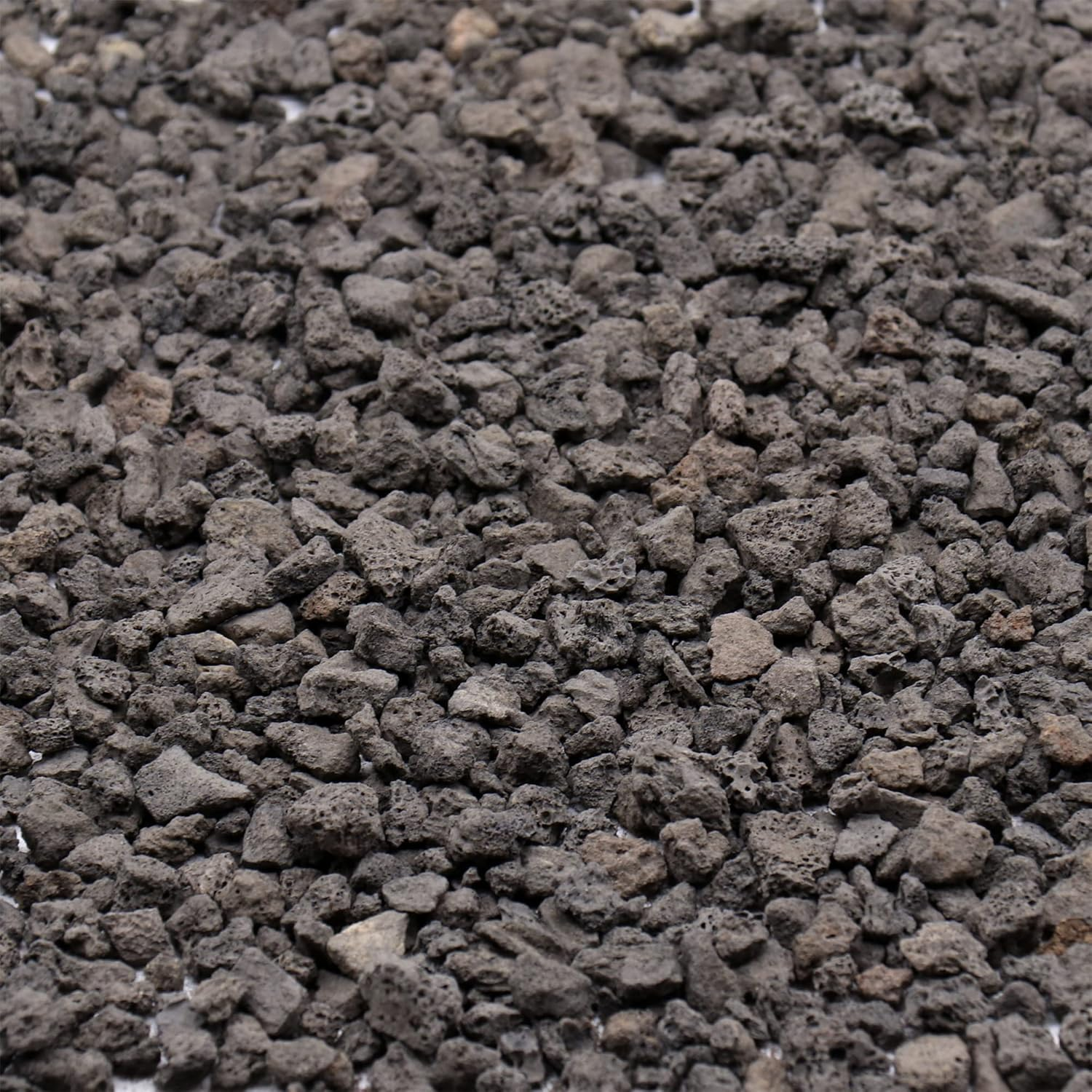 Premium Pebbles Volcanic Rock for Plants. Black Lava Rock. 1/5 Inch - 2 Lbs for Potting Soil, Succulents, Pots, Plants, Indoor, Crafting, Vase Fillers (Mini (0.2 Inch), Horticultural - Black Lava, 2)