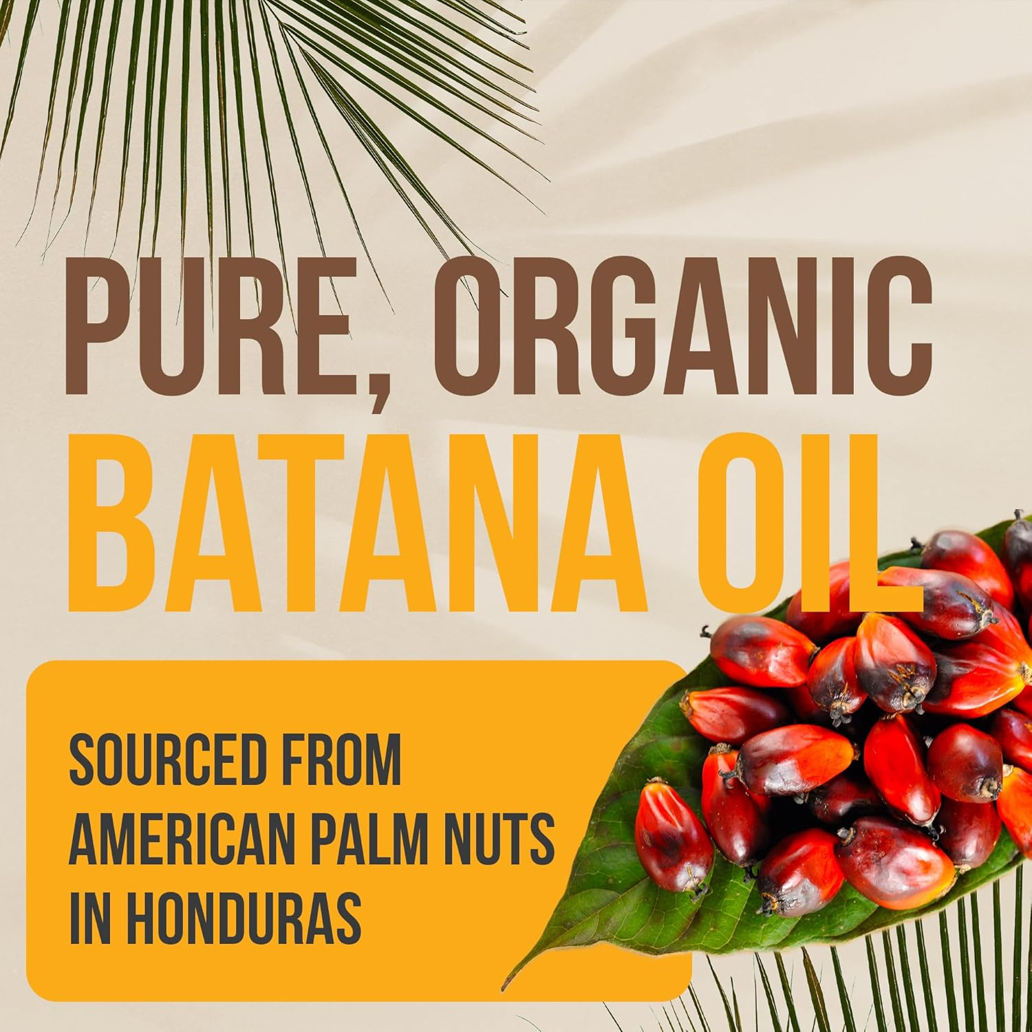 Vie Naturelle 100% Pure Batana Oil for Hair Growth from Honduras &ndash; Organic Raw Unrefined &ndash; Natural Moisturizer for Skin & Hair &ndash; Traditionally Cold-Pressed from Honduran Palm Nut - 04 Oz image number 3