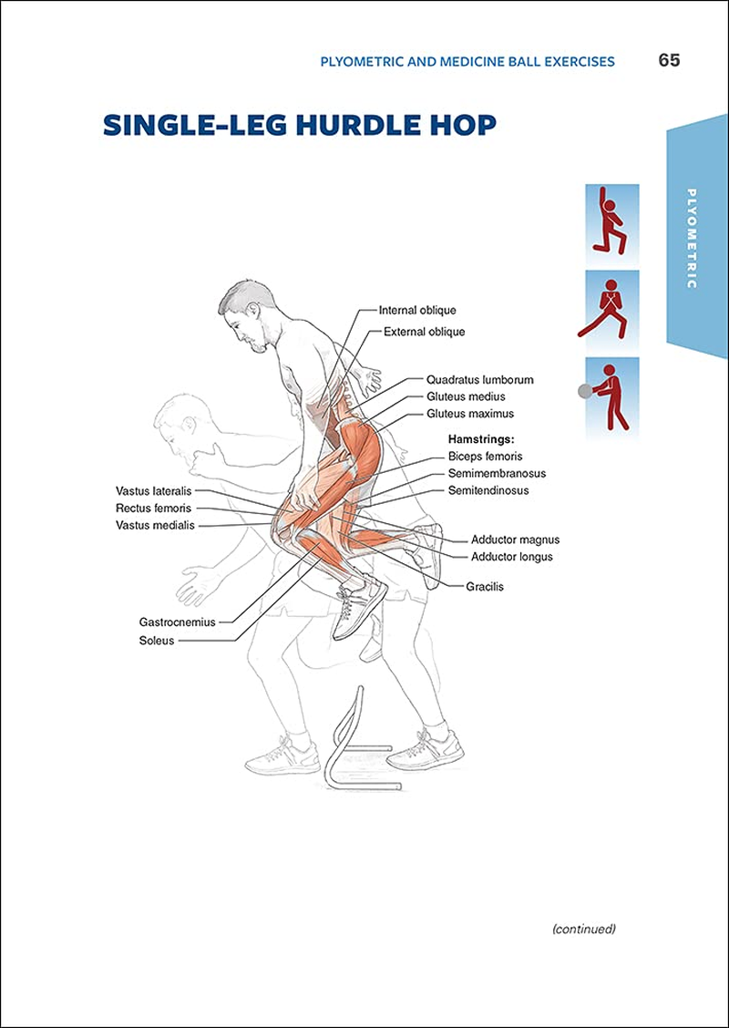 Functional Training Anatomy image number 1