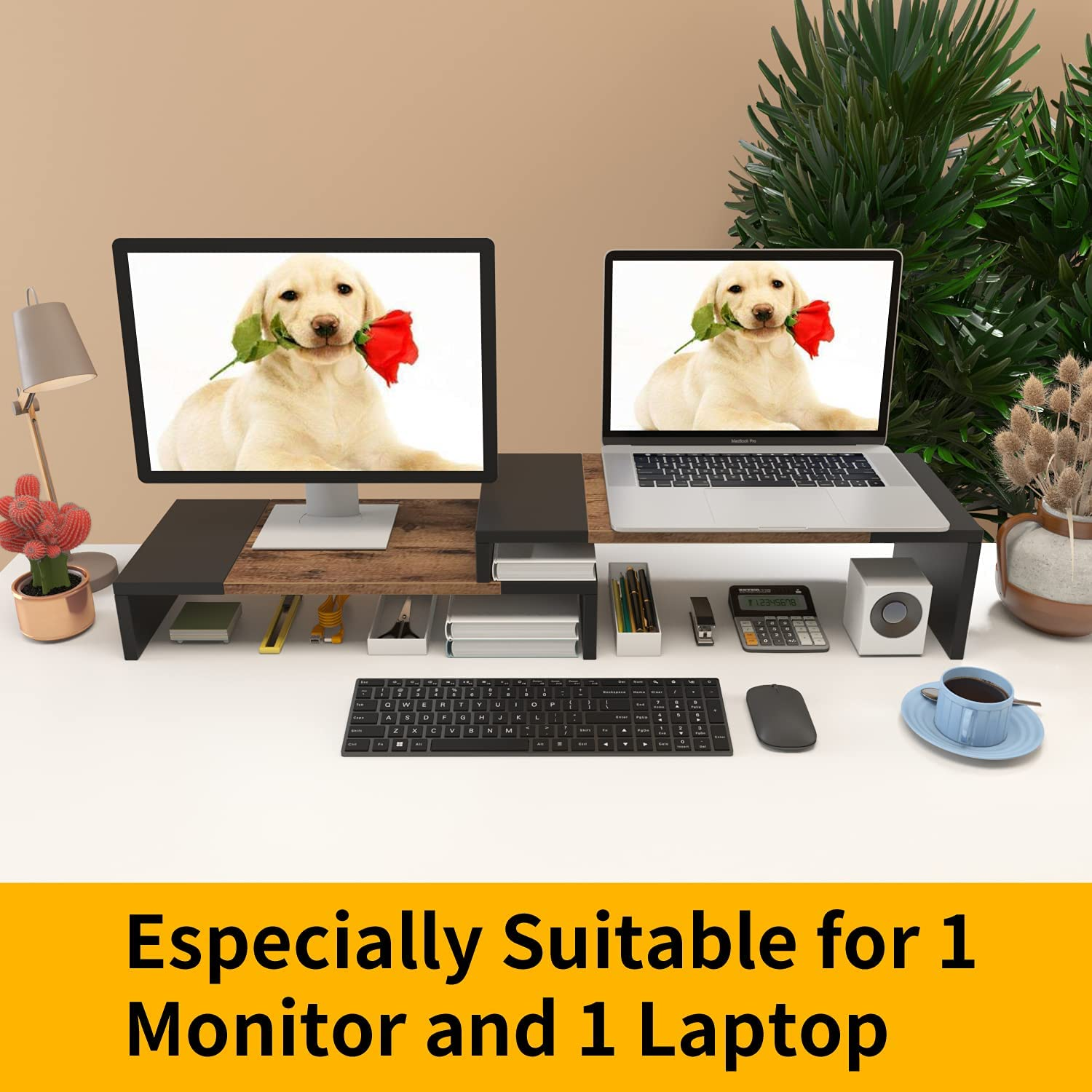 WESTREE Dual Monitor Stand - Riser 2 Shelf Computer with Adjustable Length and Angle, Stands for Monitors, Desktop Organizer PC, Computer, Laptop image number 3