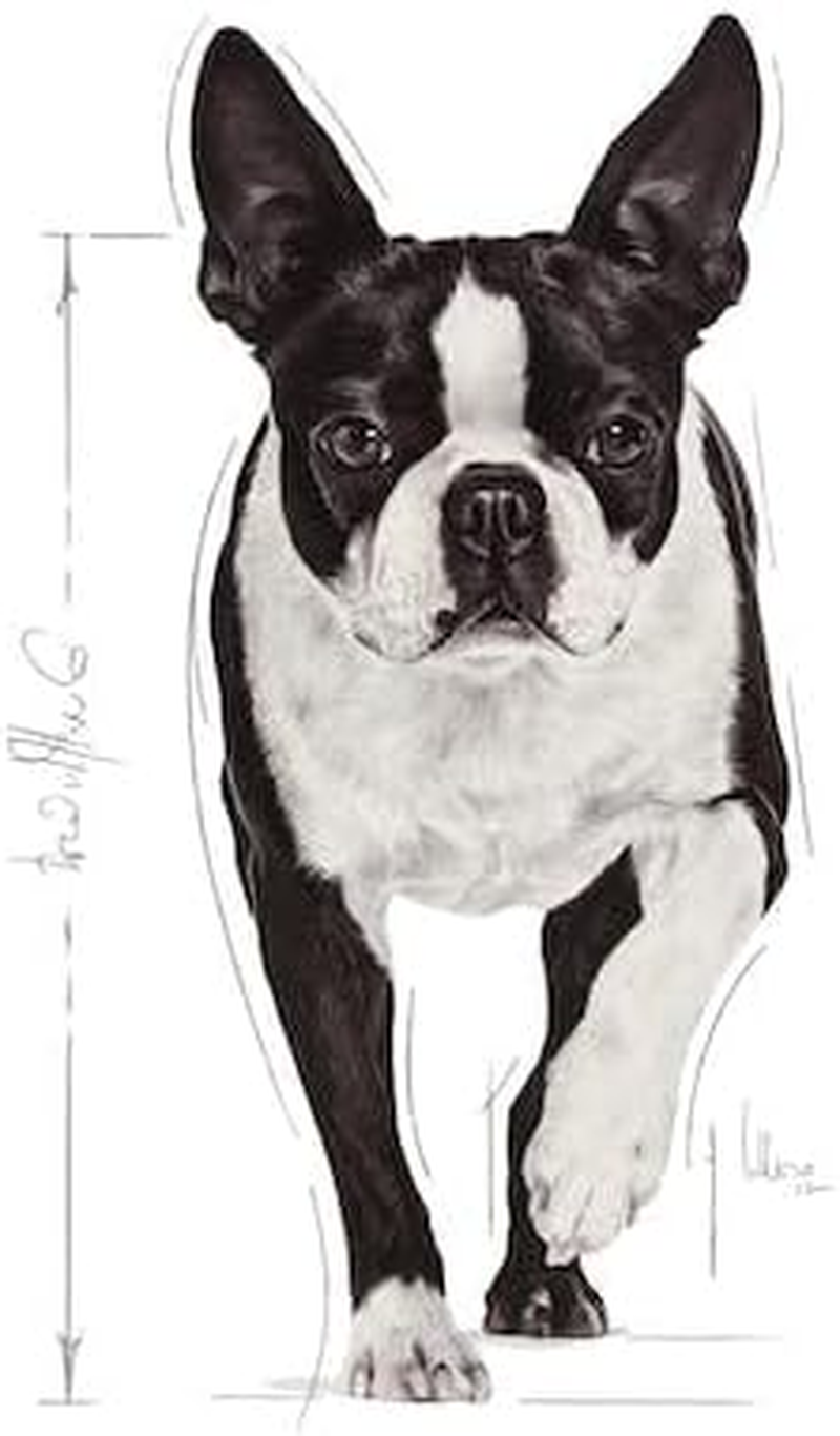 Royal Canin Relax Care Adult Loaf Pouches Wet Dog Food 85 GMS 12 Pack image number 1