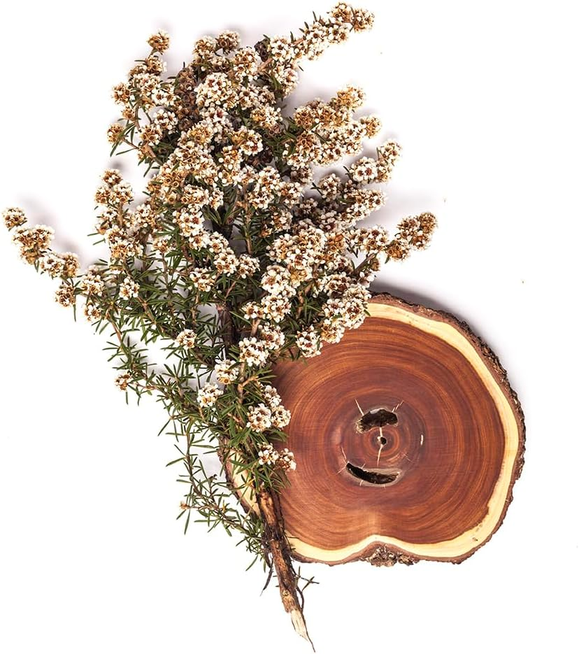 BONDI WASH Hand Wash, Fragonia & Sandalwood, 500Ml image number 6