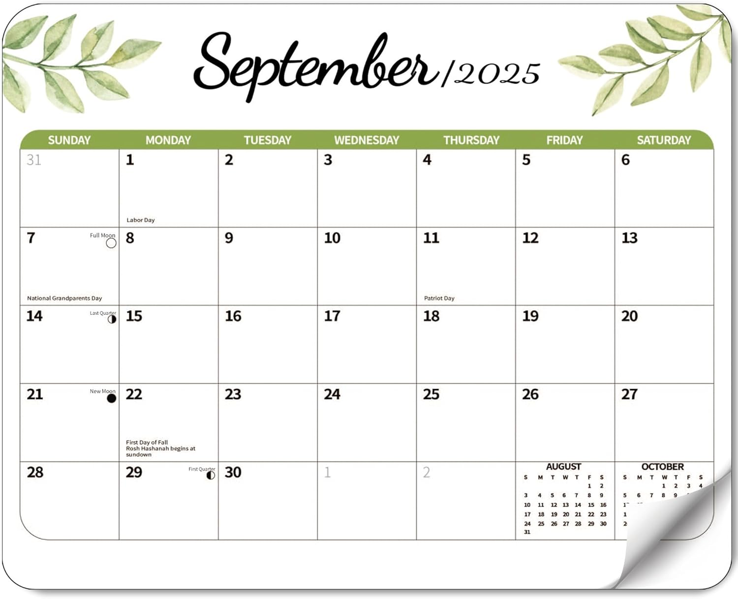 2026 Magnetic Calendar for Refrigerator, Fridge Wall Monthly Magnet Calendar from July 2025 to December 2026, 18 Month 8 X 10 Inch Planner Easy Organization, Aesthetic Decor for Home