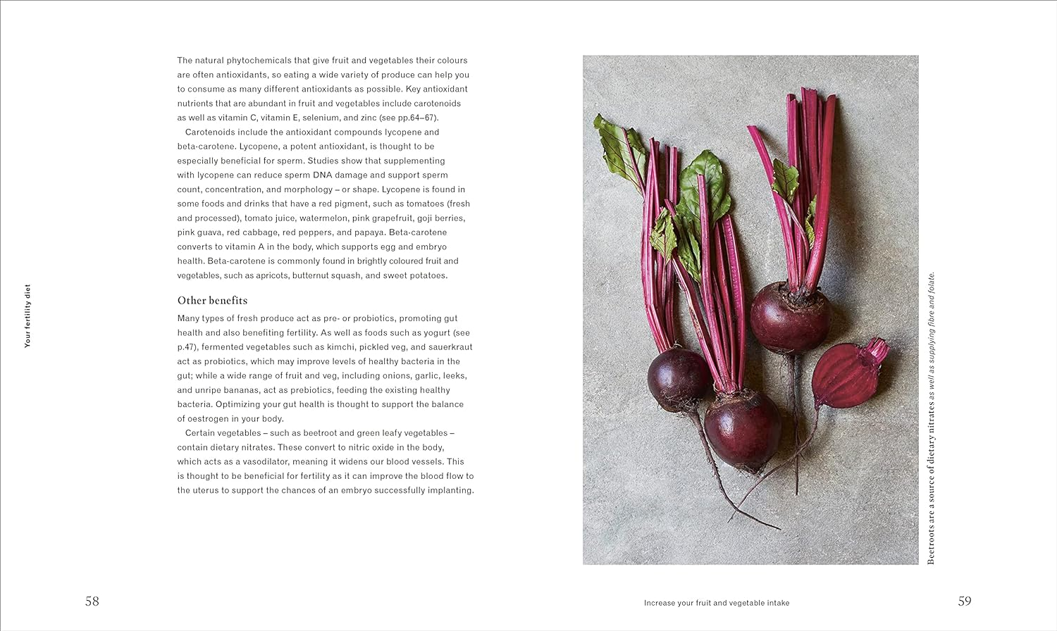 Deliciously Healthy Fertility: Nutrition and Recipes to Help You Conceive