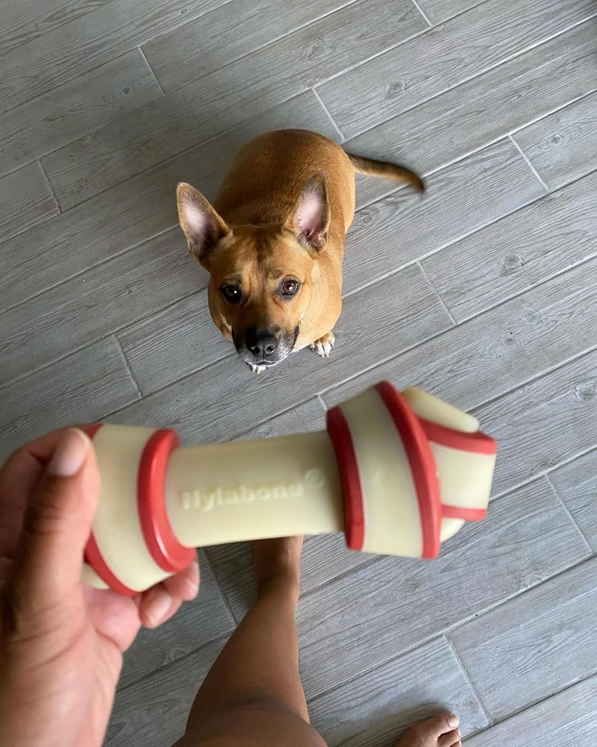 Nylabone Power Chew Rawhide Knot Alternative Beef Chew Toy image number 4