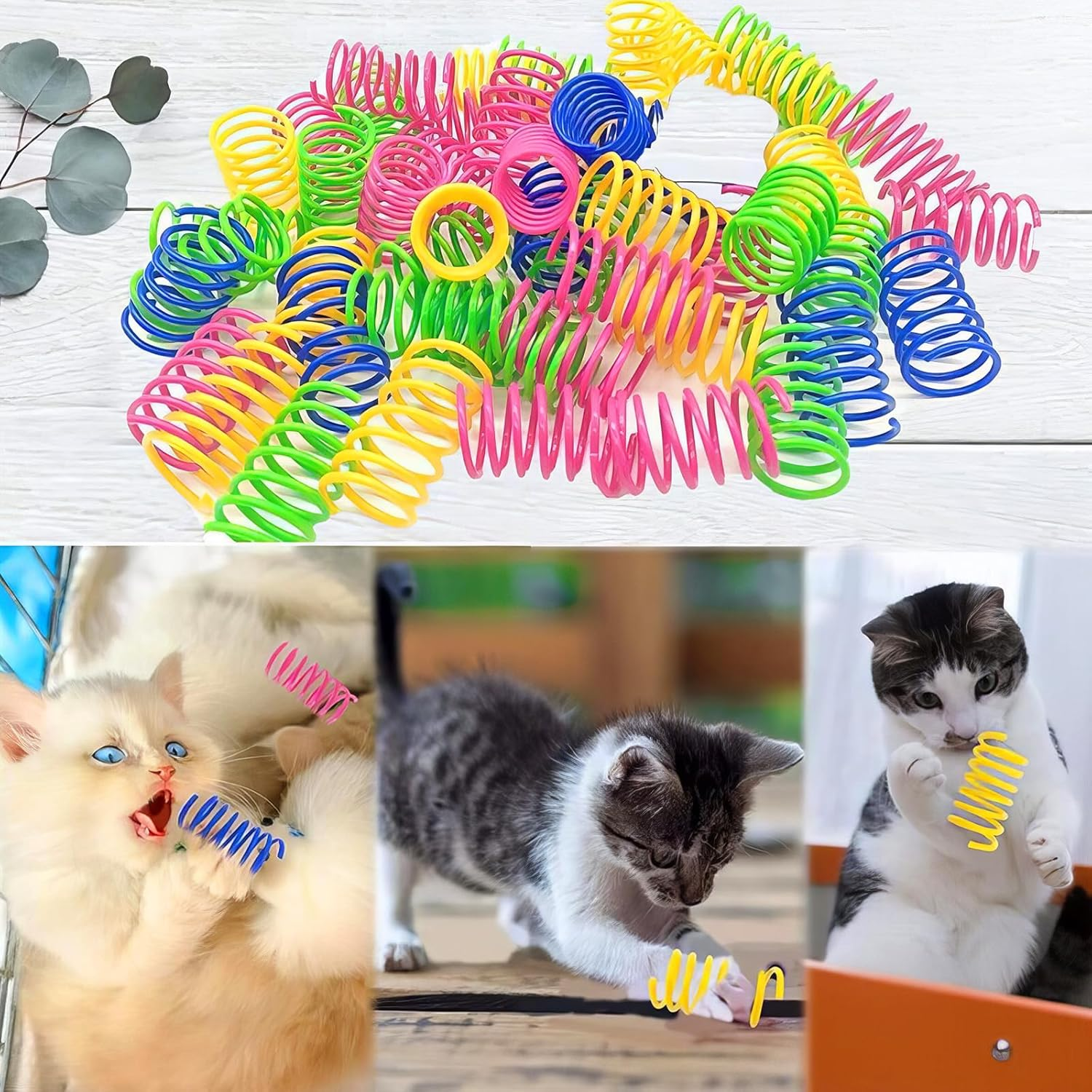 RTRTGS Pack of 16 Cat Spring Toys, Plastic Spiral Springs, Spiral Cat Toy, Toy Spiral Springs, Novelty Pet Toy, Colourful Spiral Springs, Spring Spiral for Cats image number 5
