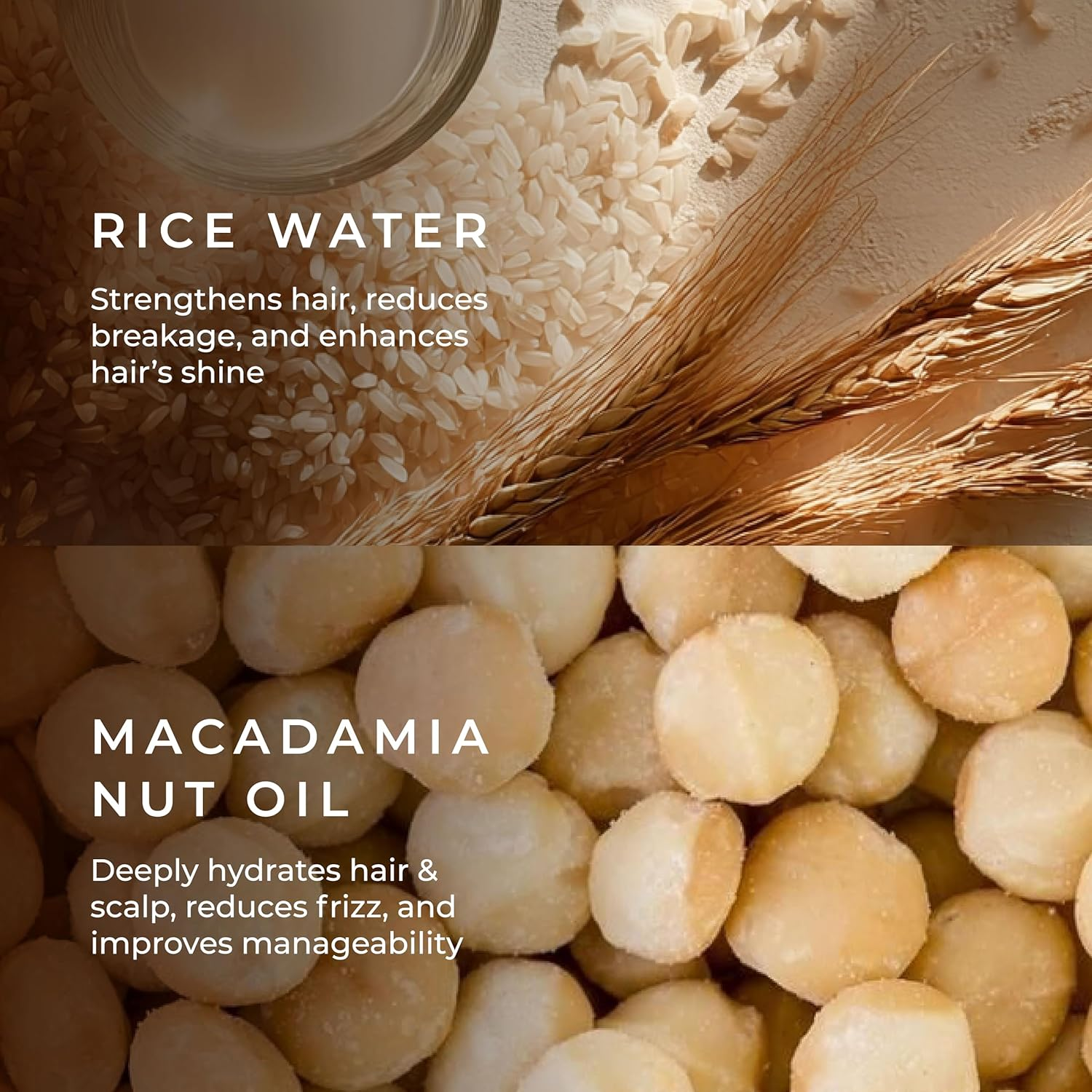 Naturali Daily Strength & Nourish Shampoo with Rice Water & Macadamia Nut Oil | Makes Hair Stronger | Paraben and Sulphate Free Shampoo | Dry Frizzy Hair Shampoo | 200 Ml image number 5