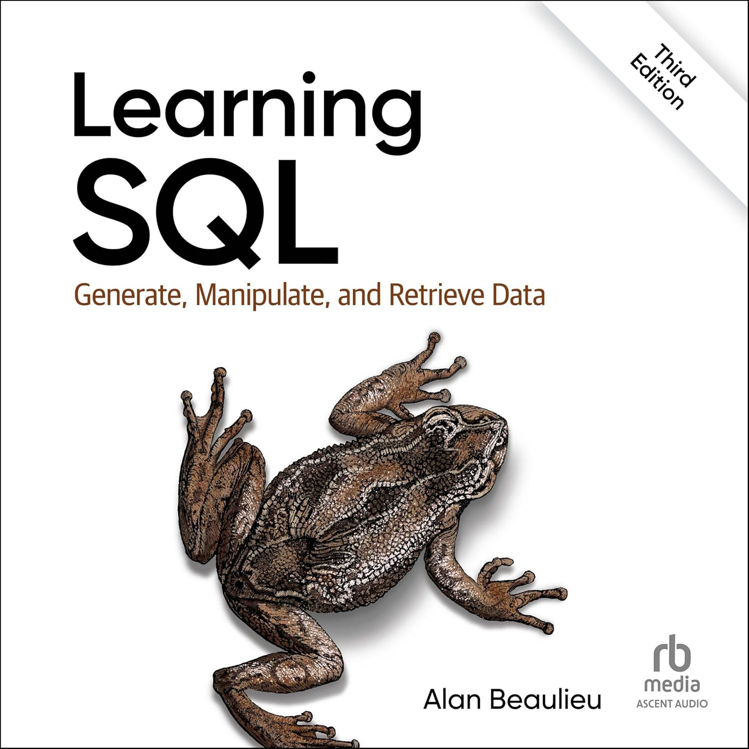 Learning SQL: Generate, Manipulate, and Retrieve Data
