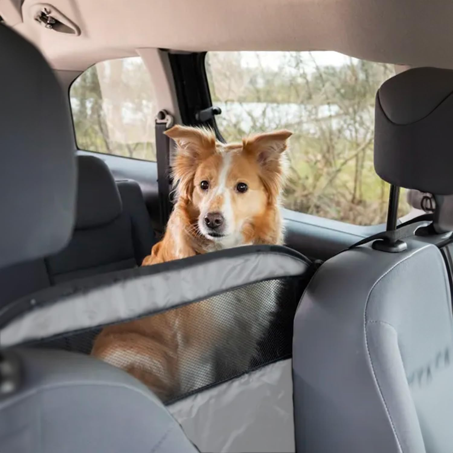 Avilia Pet Dog Pet Dog Divider Net 3 Pockets Polyester 60X70Cm Safe and Comfortable image number 4