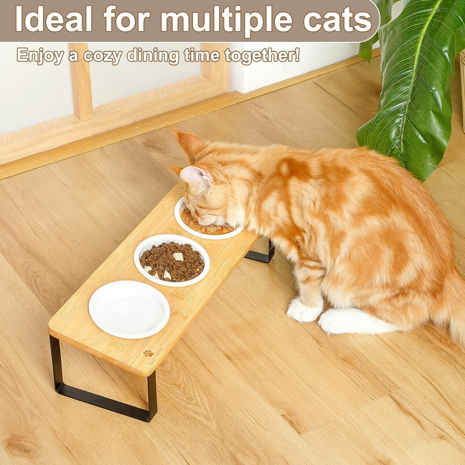 Sunhoo Raised Cat Food Water Bowl Elevated Tilted Kitty Dishes Set of 3 Ceramic Dish for Indoor Cats Orthopedic Pet Food Stand Reduces Vomiting 3 Bowl Cat Feeder Easy Assembly(Wood Color) - Wood Color image number 5