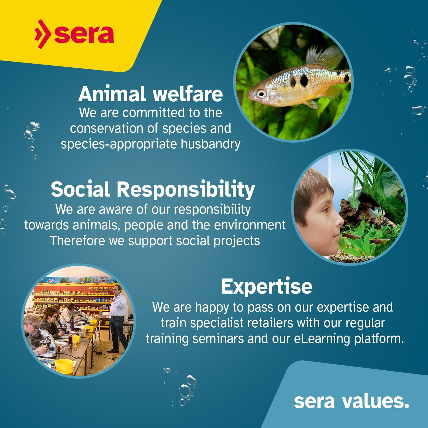 Sera Growth Fry Food, 25G