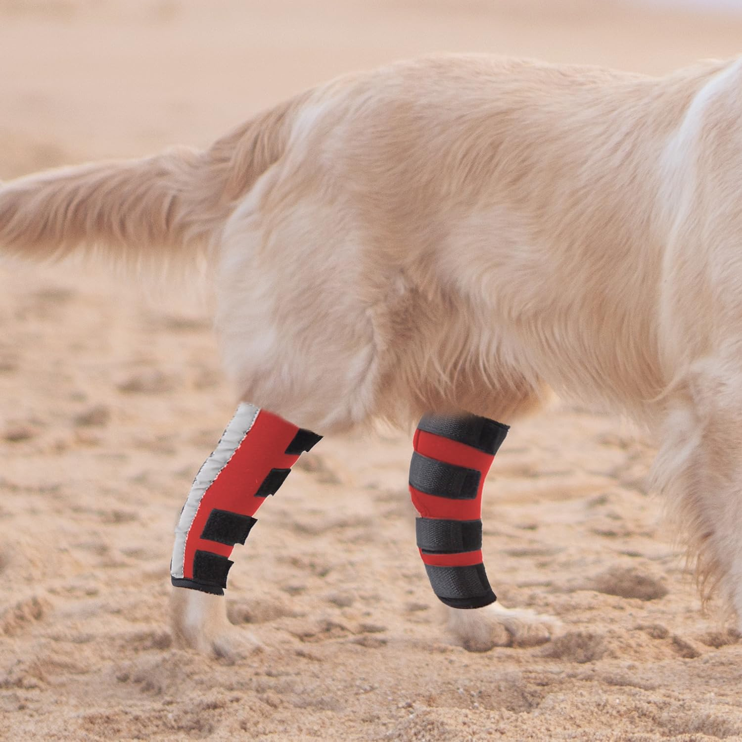 NACOCO Dog Leg Brace- Pair of Dog Canine Leg Wrap with Safety Reflective Straps Protects Wounds Brace Heals and Prevents Injuries and Sprains (Small) image number 2