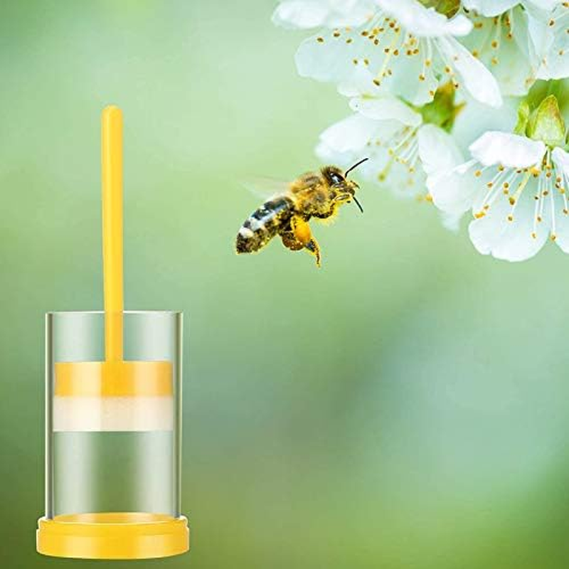 Queen Bee Marking Kit, 2 Queen Marking Cage Tube with 3 Bee Marker Pen for Beekeeper Tool