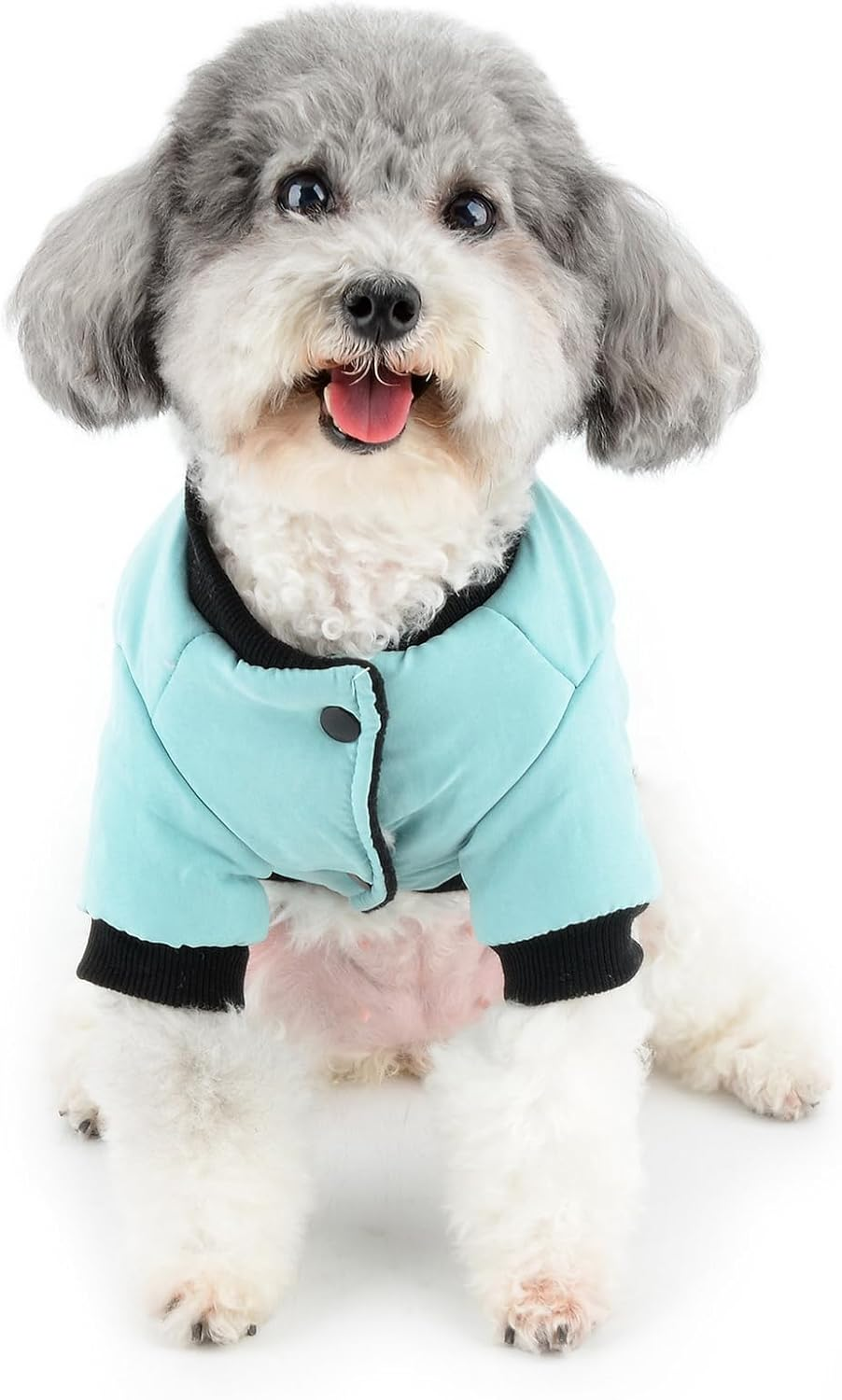 Zunea Dog Winter Coats for Small Dogs Soft Warm Fleece Lined Puppy Clothes with D-Ring Cold Weather Pet Girl Boy Apparel Windproof Coat with Zipper Pocket Chihuahua Yorkie Clothing Blue XL