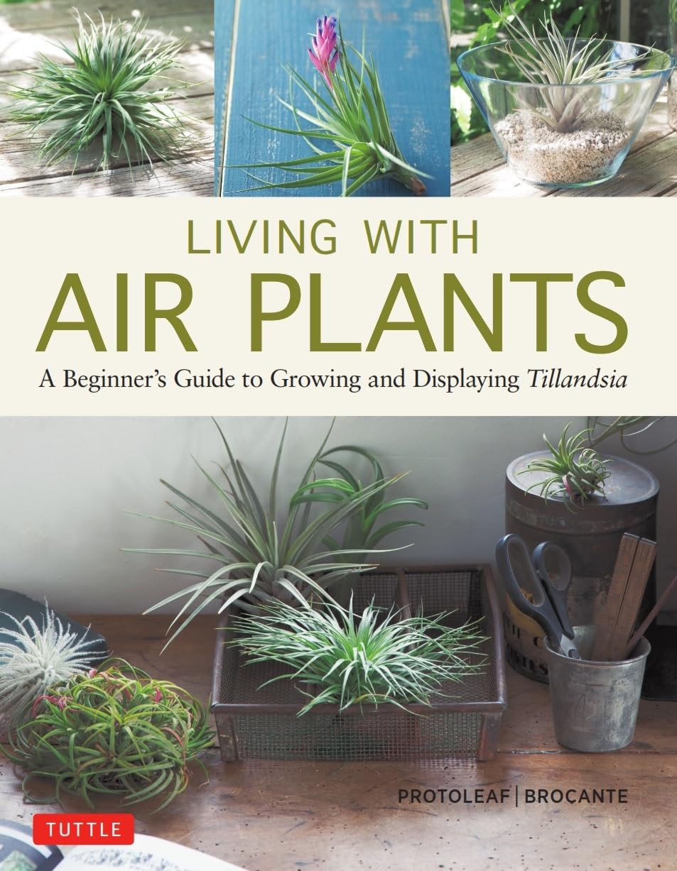 Living with Air Plants: a Beginner'S Guide to Growing and Displaying Tillandsia
