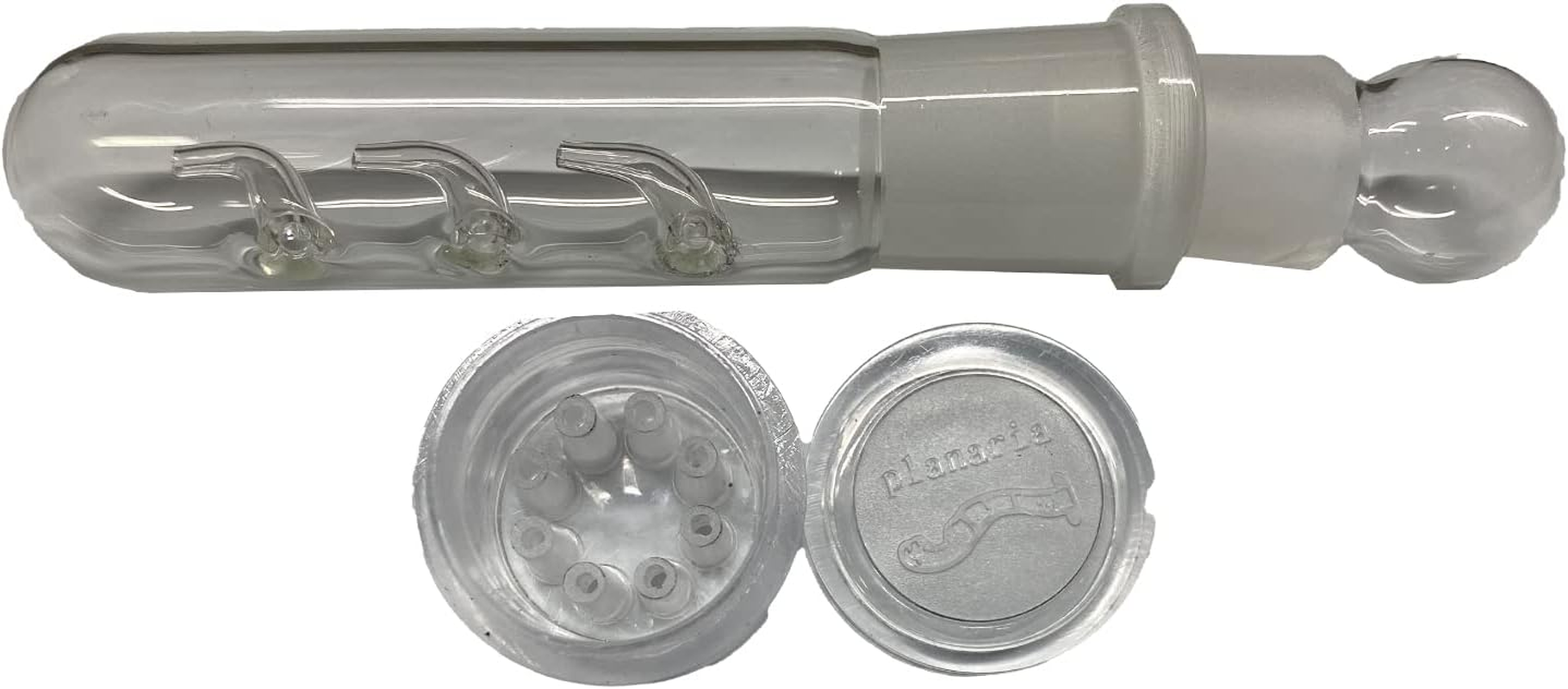 Planaria Trap Leech & Flatworm Trap/Catcher for Shrimp Tank or Aquarium by Awesome Aquatic image number 6