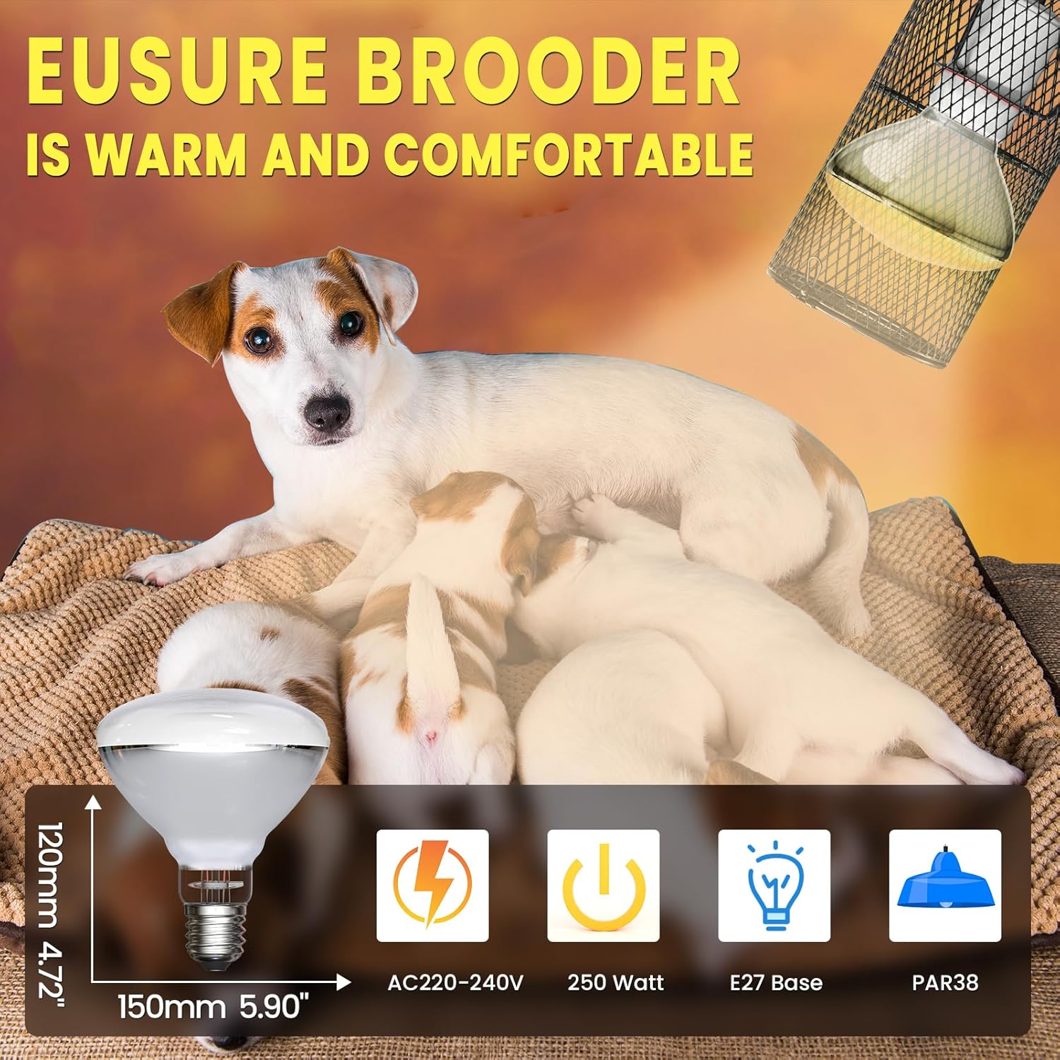 250W Heat Lamp - E27 Bulb for Poultry, Food, Catering, Brooding & Chicks image number 6