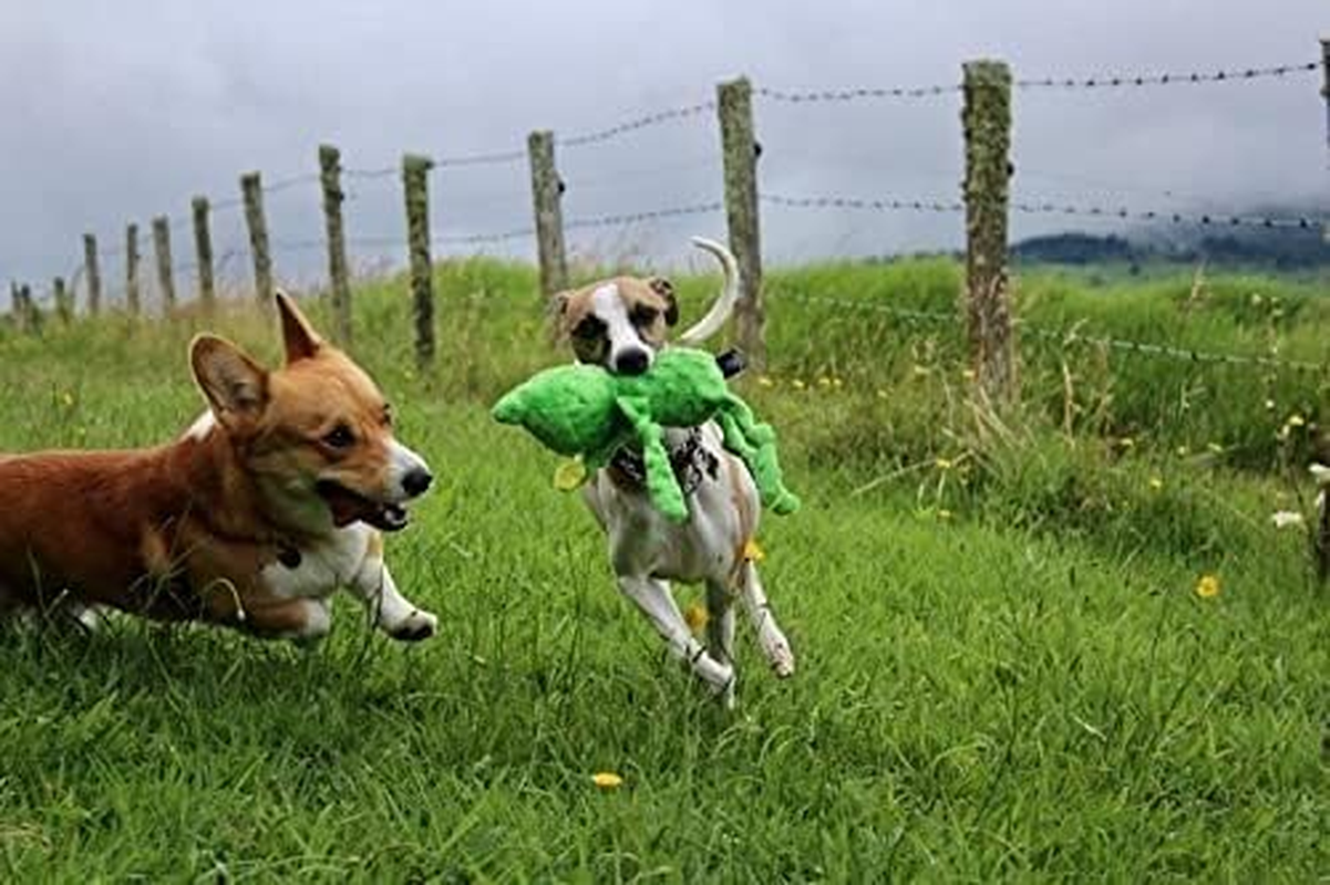 13&rdquo; Frog Squeaker image number 2