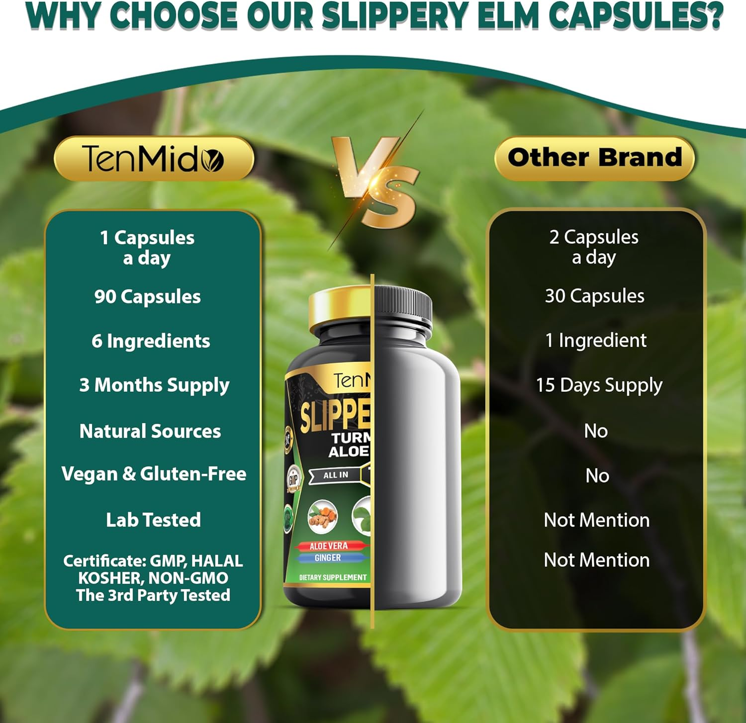 Tenmido Slippery Elm Supplements - 6In1 with Turmeric Curcumin, Aloe Vera, Ginger, Licorice & Black Pepper - Digestive Health - 90 Vegan & Non-Gmo Capsules