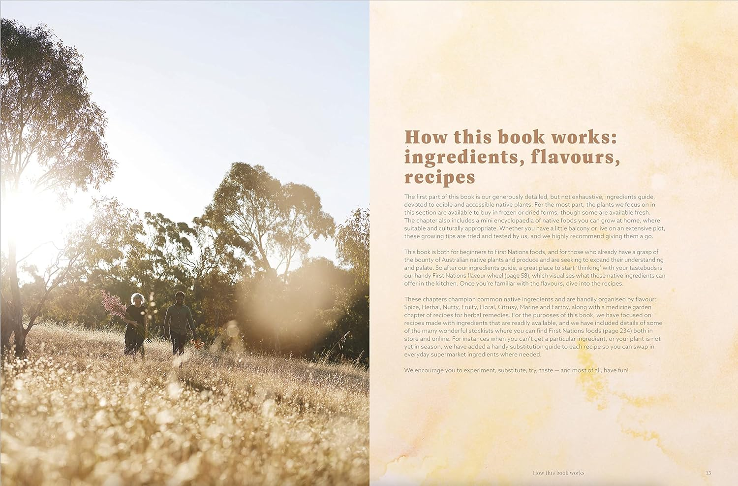 First Nations Food Companion: How to Buy, Cook, Eat and Grow Indigenous Australian Ingredients image number 6