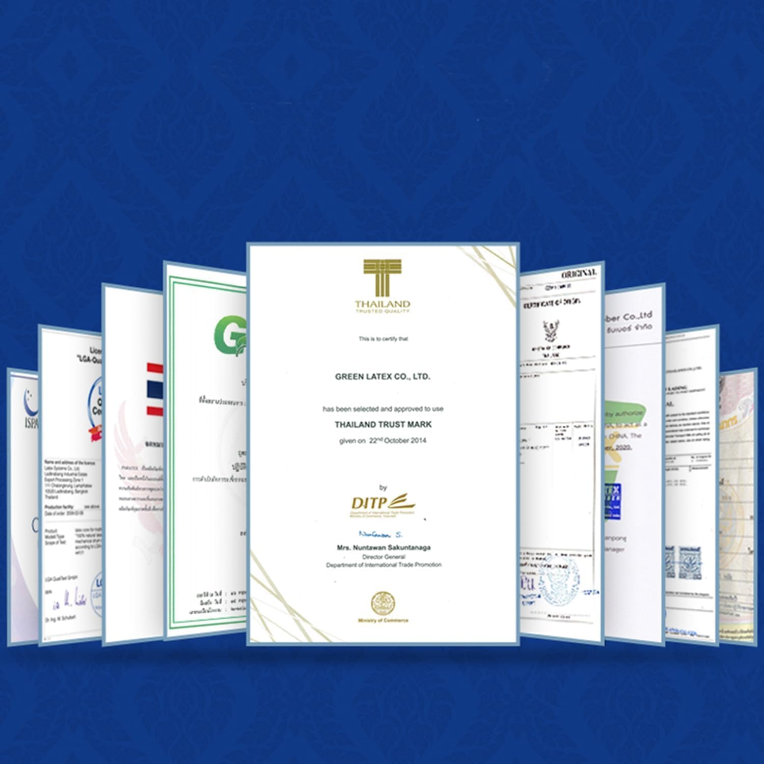 Talalay 100% Natural Premium Latex Pillow, No Memory Foam Chemicals, Resistant to Sagging, Perfect Package Best Gift with Removable Tencel Cover image number 6