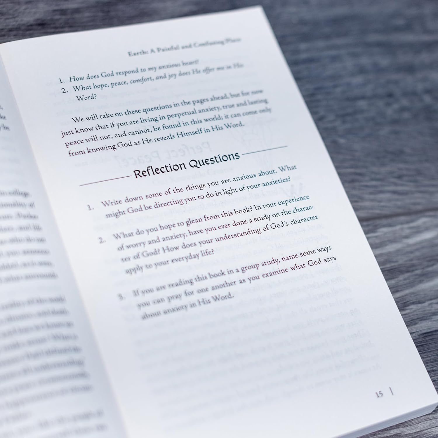 Consider the Lilies: Finding Perfect Peace in the Character of God image number 5