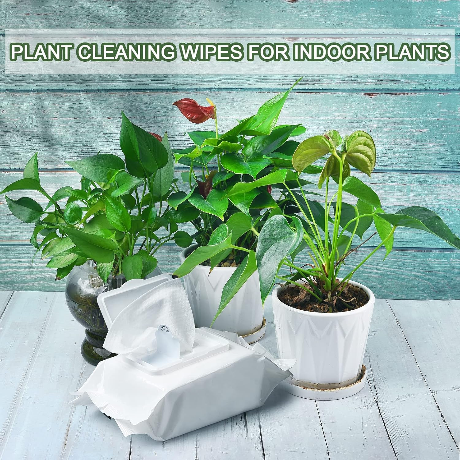 Leopong Plants Cleaning Wipes for Leaf Shine, Clean and Photosynthesis, Leaf Cleaner for House Plants Outdoor Plants (80 Wipes) image number 6