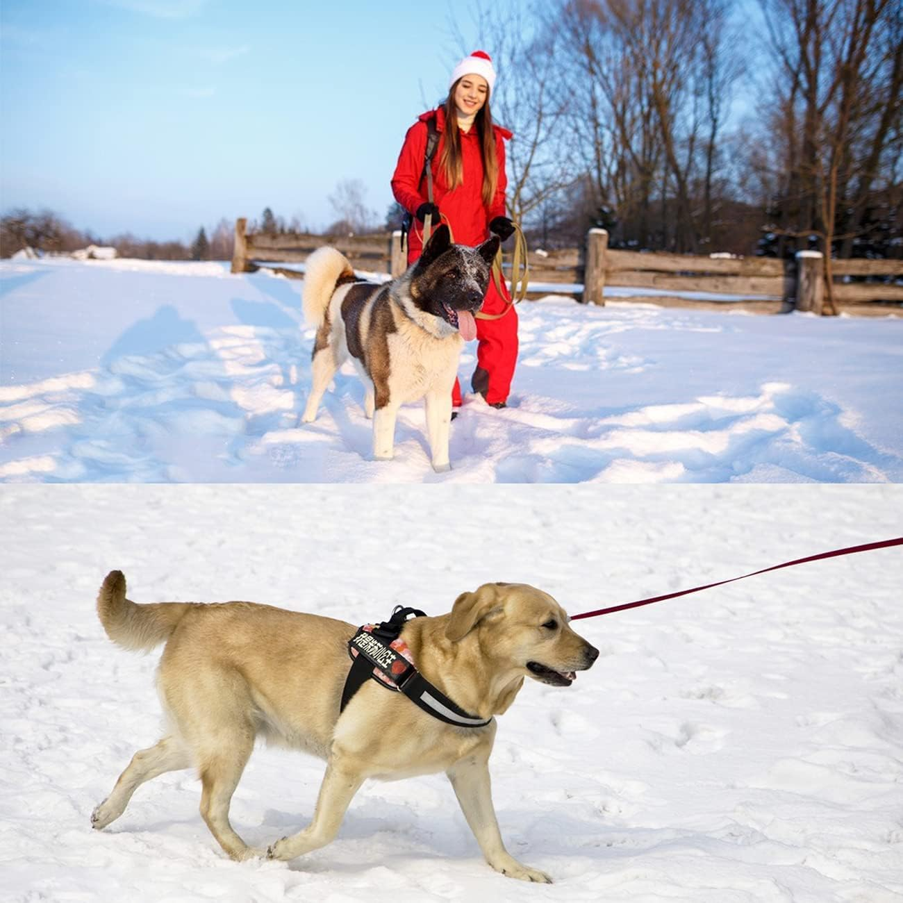 Medium Dog Leads 30M, Training Lead for Dogs with Padded Handle, Extra Long Line 30M Long Dog Leash for Recall Training, Tracking Leash for Dogs, Ideal for Yard, Lawn, Park, Beach, Obedience image number 2