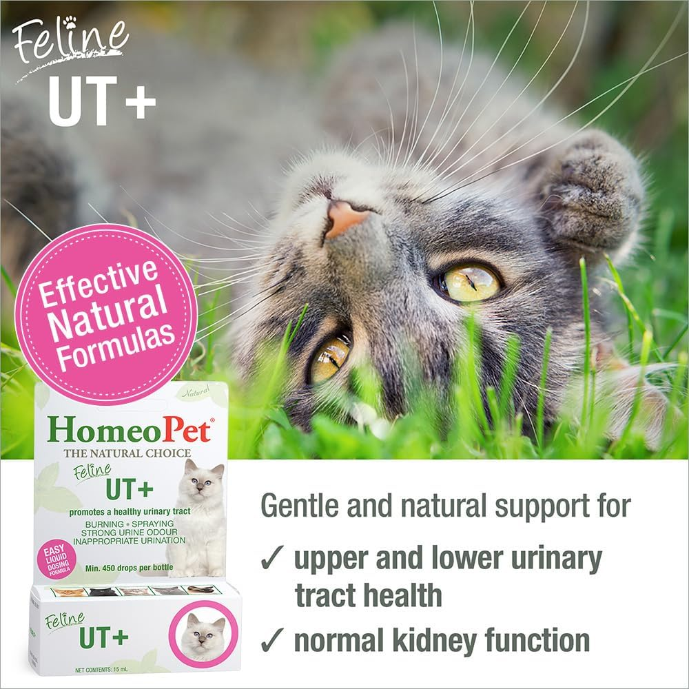 Homeopet Feline UT+ 15 Ml for Cats - Safe Natural Remedy for Cat UTI Treatment & Cystitis Relief. Urinary Tract Formula and Bladder Infection & Kidney Support Supplement for Cats & Kittens image number 2