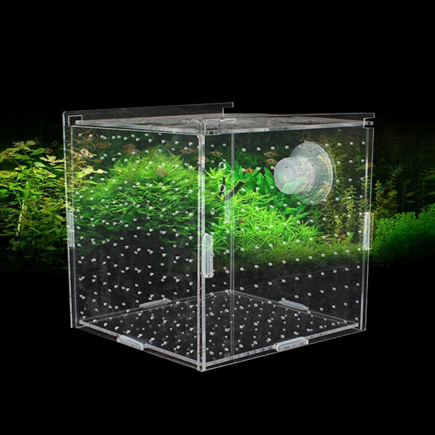 Dualoai Clear Acrylic Fish Breeding Enclosure for Aquatic Pets, 8Cmx8Cmx8Cm image number 3