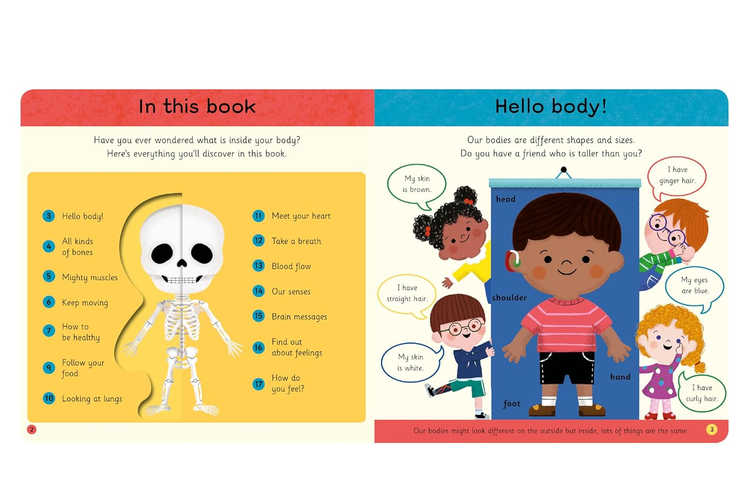 My First Body Book: Explore Your Body with Windows and Sliders image number 2