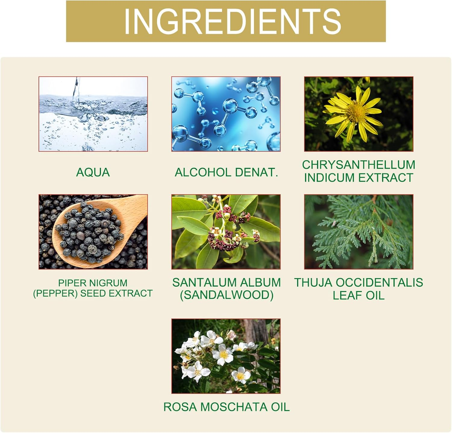 Fragrance for Men & Women | with Rosehip Oil, Indian Helichrysum, Black Pepper & Sandalwood Leaf Oil | Long Lasting, Travel Size, Day to Night, Ideal Gift Set (5PCS) - 2Pcs image number 5