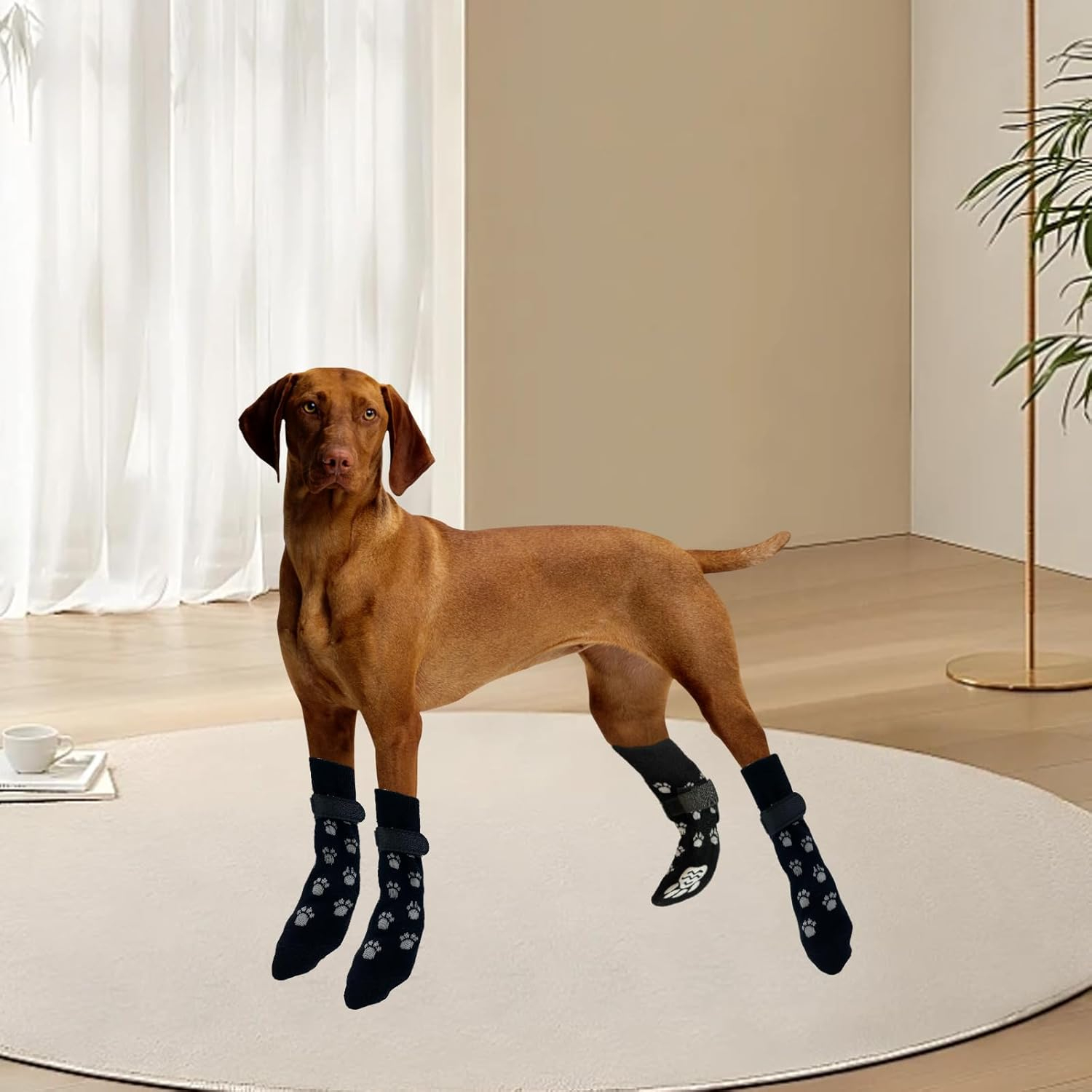 YNR 4 Pairs M Dog Socks anti Slip,Pet Paw Protector,Use Indoor Traction Control Wear on Hardwood Floors,Soft Dog Socks with Grips Personalised Presents for Dogs,Socks for Prevent Dogs Licking Paws image number 6