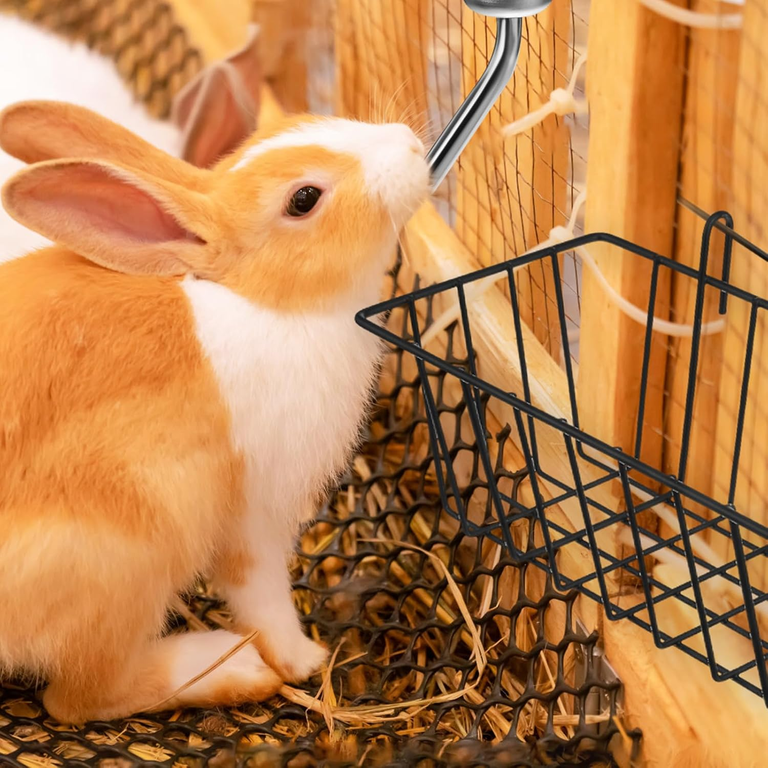 POPETPOP Rabbit Hay Feeder 2 Pieces Hanging Hay Holder Made of Metal with 2 Pieces Small Animal Water Bottles Robust Hay Holder with Frame for Guinea Pigs Rabbits Chinchilla image number 1