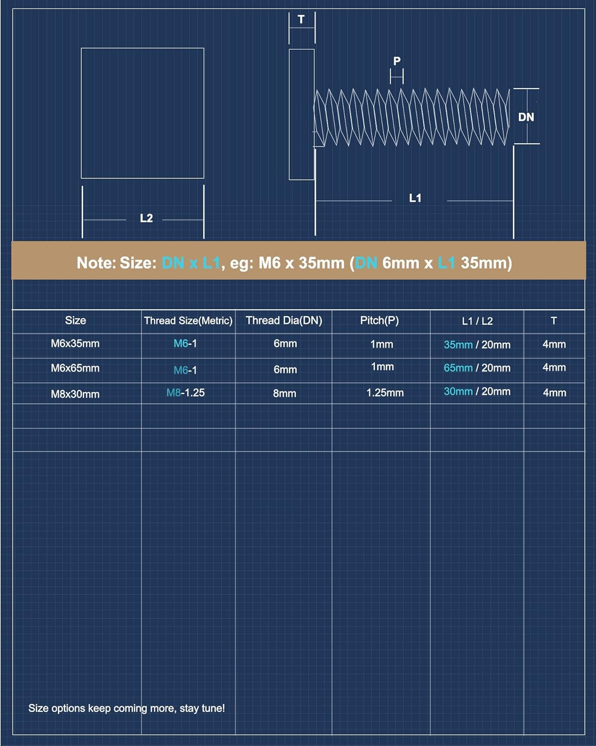 T Track Bolts Nut Kit, 1/4-20 5/16-18 Threading, 5/32 Thick Square Head, Stainless Steel M6-1 M8-1.25 T Slot Bolts Roof Rack Clamps Adapter for Thule, Yakima, Whispbar, Rhino Roof Bike Rail, 6 Count image number 2