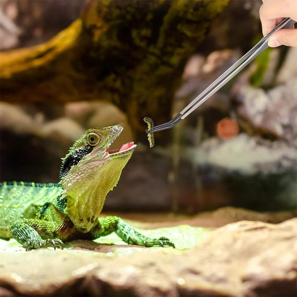 QOOWFEANIG 2Pcs Stainless Steel Reptile Feeding Tongs - 10.6" Straight & Curved Tips with Rubber Grip, Aquarium Tweezers for Snakes, Bearded Dragons, Lizards, Aquascaping Tool&Tank Accessories,Red image number 1